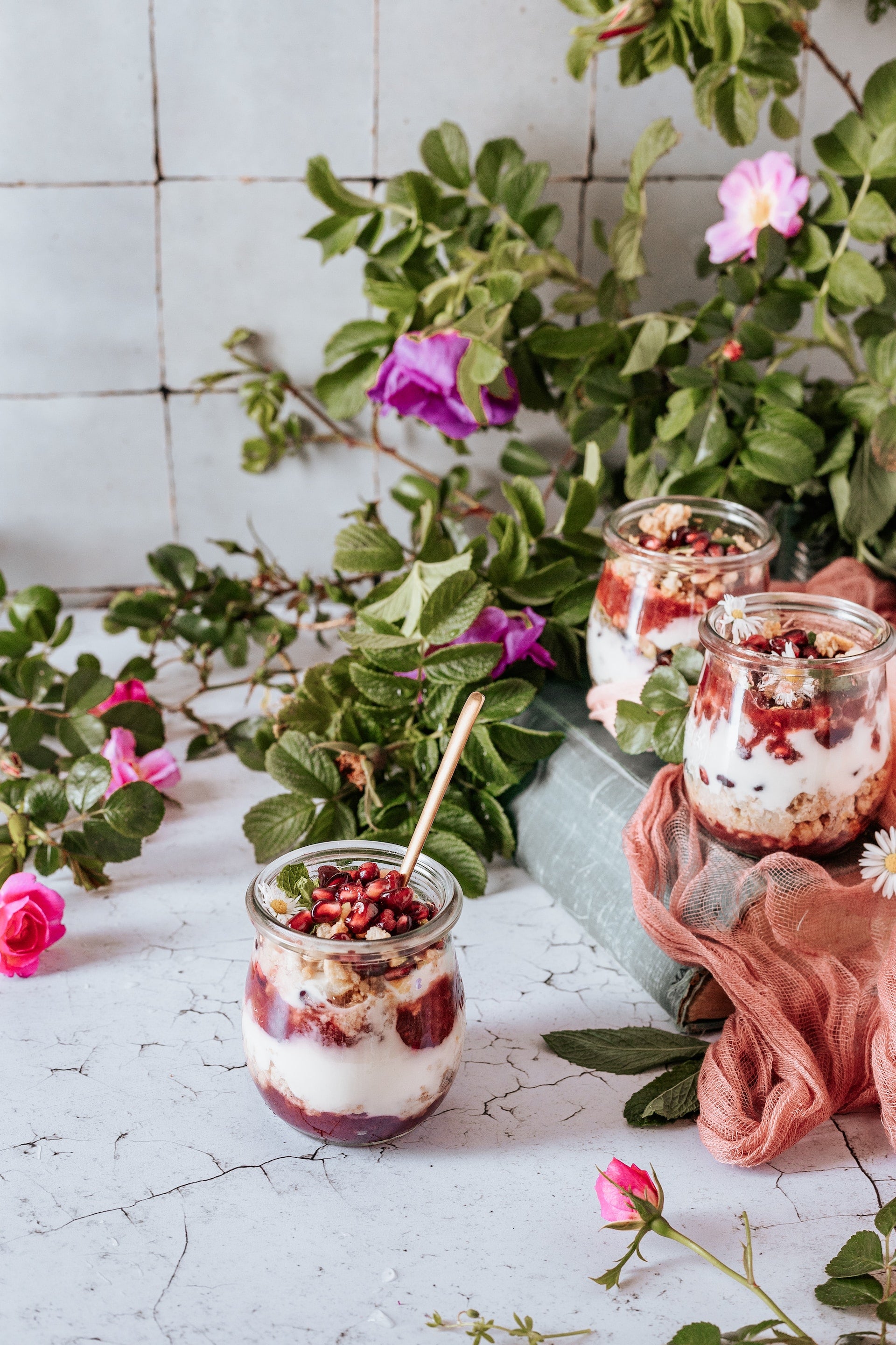 Vanilla Yogurt With Swirl